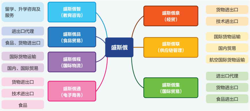 盛斯教育序列.png